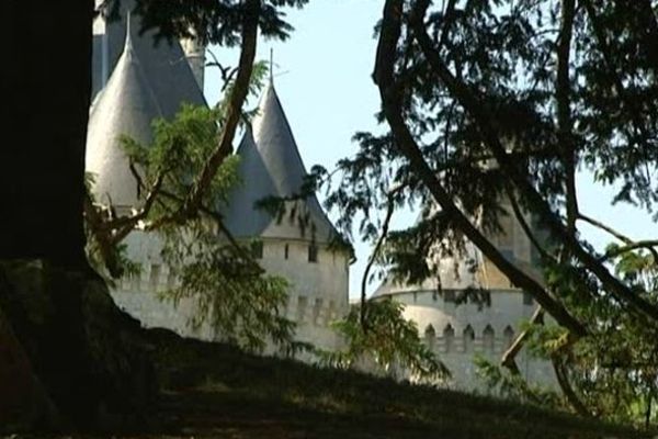 A l'ombre du grand arbre