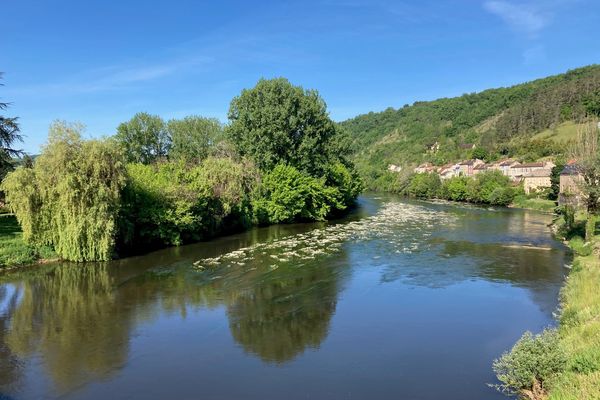 La Vézère près du Bugue. Avec la hausse des températures, les herbiers fleurissent de plus en plus tôt.