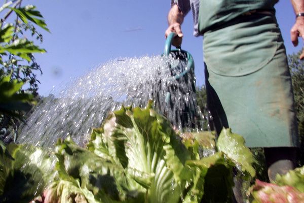 Des restrictions d'eau sont entrées en vigueur dans de nombreux départements. Quatre d'entre eux sont placés en crise en Occitanie.