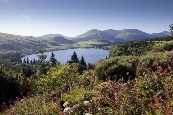 paysage d'auvergne