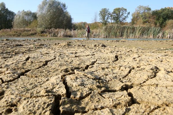 La sécheresse et les restrictions d'eau touchent encore 60 départements français ce lundi 22 octobre 2018. 