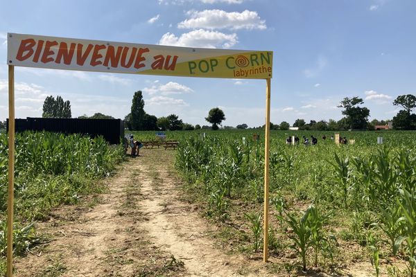 Le labyrinthe de Montgermont