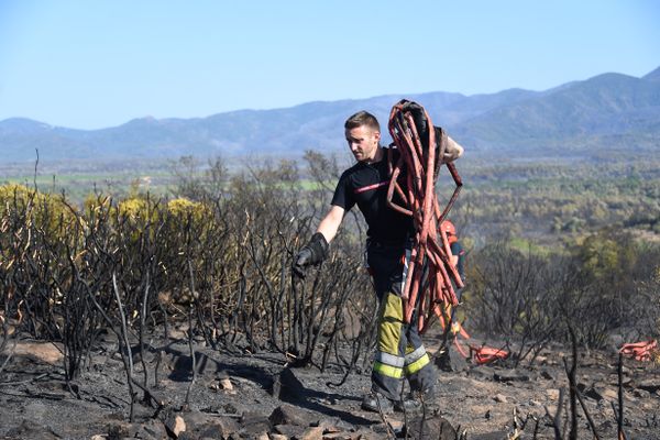 Sur le terrain, plus de 1.100 pompiers sont toujours mobilisés face à l'incendie qui dévaste le Massif des Maures, comme ici au Luc en Provence (Var)