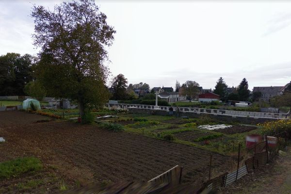 L'incendie s'est produit entre les jardins communautaires et le cimetière. 