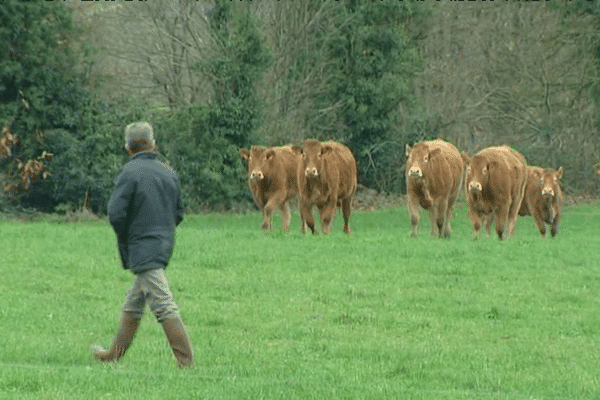 Lorsque les agriculteurs travaillent ensemble sur une même exploitation, des tensions peuvent survenir.