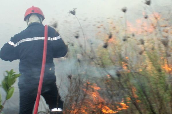 ILLUSTRATION - Le risque d'incendie reste élevé en Corse