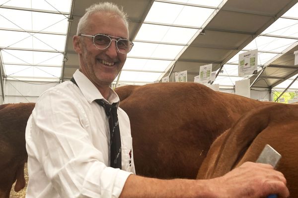 David, éleveur de vaches Limousines : "On aime viscéralement nos animaux"