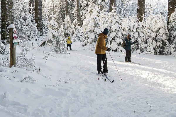 Des skieurs de fond au Haut-Folin (Morvan) le 21 janvier 2023