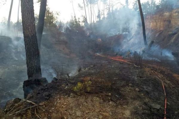 Le feu a ravagé 10 ha de végétation près de Générargues dans le Gard. Août 2015.