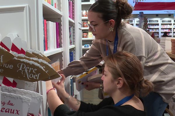 La librairie Martelle est l'une des 82 entreprises signataires de la charte contre les violences conjugales, sexistes et intrafamiliales : une initiative pour mieux accompagner les victimes dans le milieu professionnel.