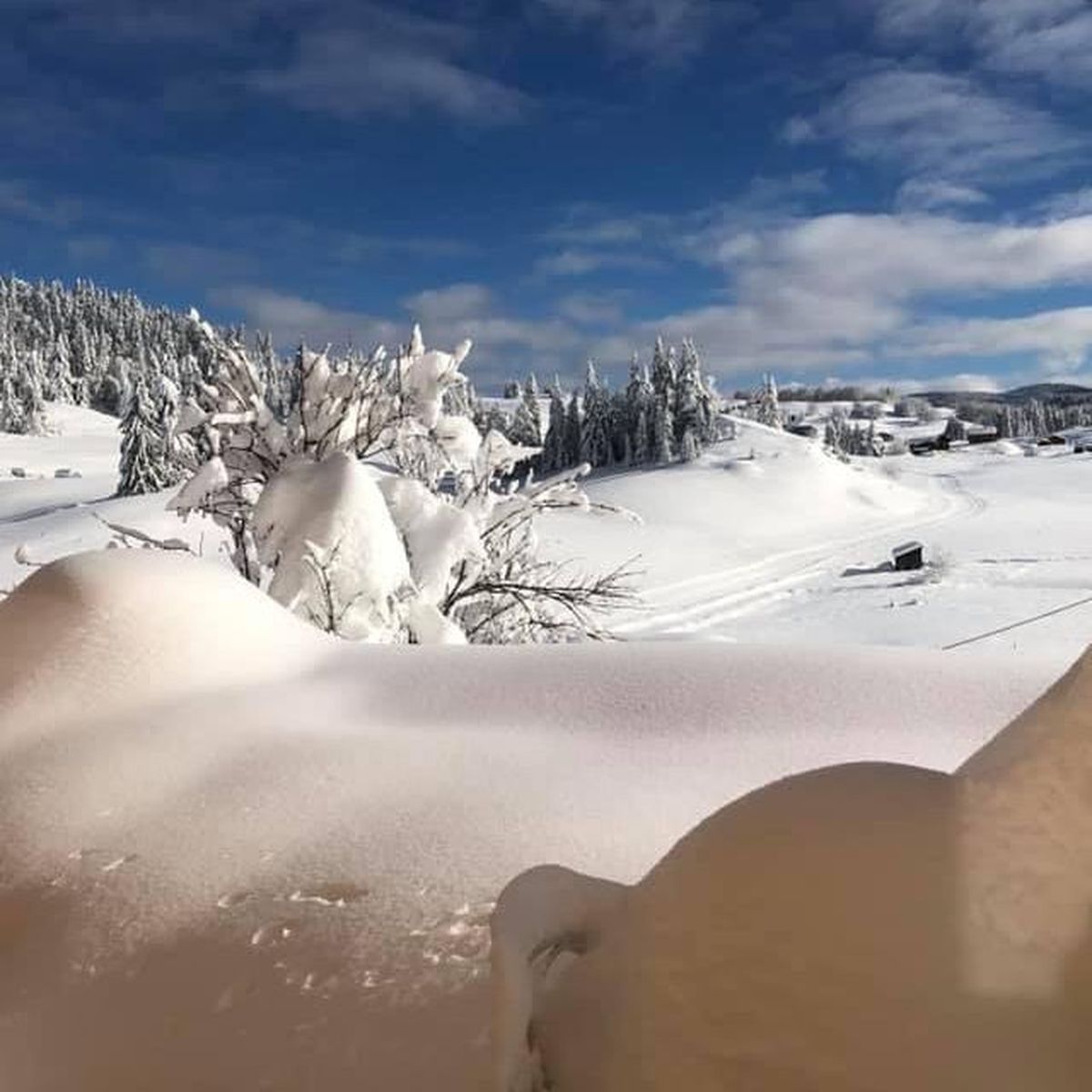 Meteo Dans Le Massif Du Jura De La Neige Jusqu A 1 75 Metre De Hauteur Et Ce N Est Pas Fini