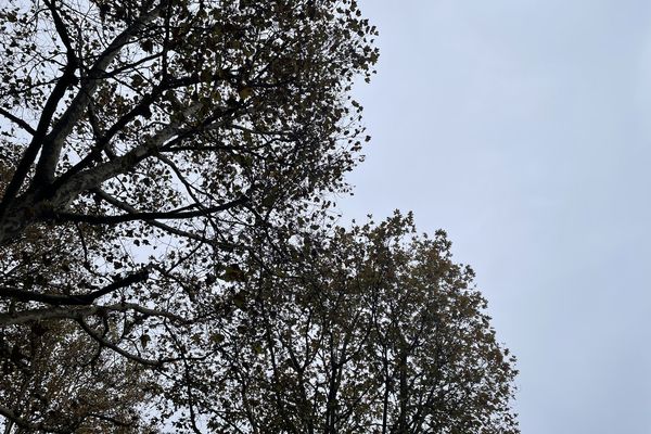 Le ciel gris de Saint-André-lez-Lille