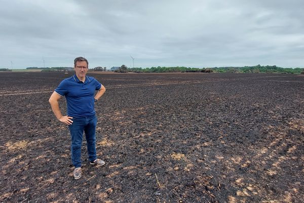 Goeffroy De Lesquen au milieu de sa parcelle de 17 hectares qui a été ravagée par les flammes le 19 juillet 2022