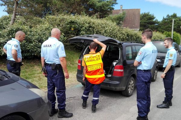 Le chien était enfermé dans ce véhicule, en plein soleil.