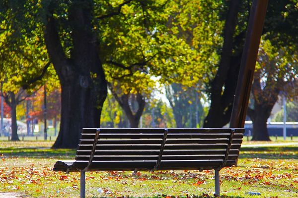 Les feuilles mortes se ramassent à la pelle.