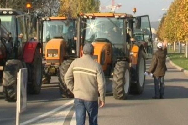 Strasbourg : les jeunes agriculteurs s'expliquent