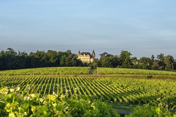 Le château © Rayne-Vigneau, 1er cru classé de Sauternes a Bommes en Gironde a misé sur l'oenotourisme depuis 2012 