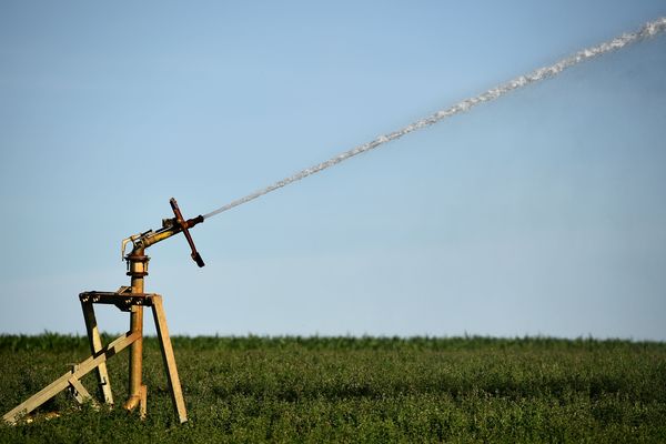 Face à la sécheresse qui frappe l'Auvergne, l'Allier est à son tour touché par des restrictions d'usages des eaux, quelques jours après le Cantal. (Illustration)