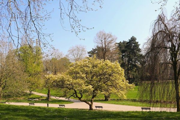 Un ciel plutôt lumineux pour ce vendredi 17 avril