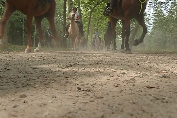 La 52e édition de l'Equirando a lieu en Île-de-France avec pour point de rendez-vous, Rambouillet dans les Yvelines.