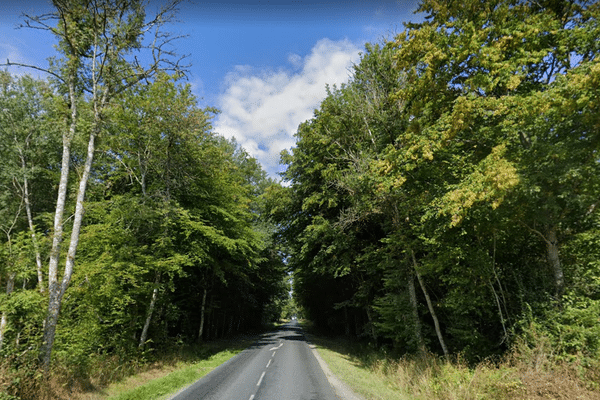 La route départementale 36, dans la Marne. (illustration)