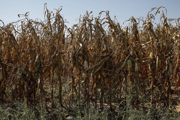 les agriculteurs sont inquiets