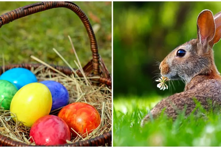 Paques Les Images De Vos Chasses Aux Oeufs En Bourgogne Franche Comte