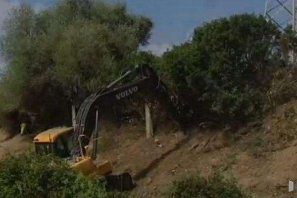 Opération d'arrachage après la découverte d'un cas positif de Xylella fastidiosa identifié mercredi sur des plants de polygale à feuille de myrte sur la commune de Propriano, en Corse-du-Sud