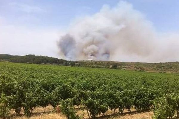 Incendie dans le secteur de Vailhan (34)