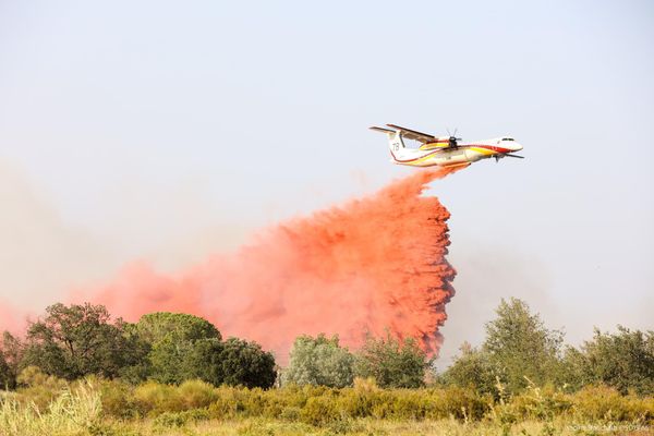 D'importants moyens ont été déployés pour venir à bout des flammes.