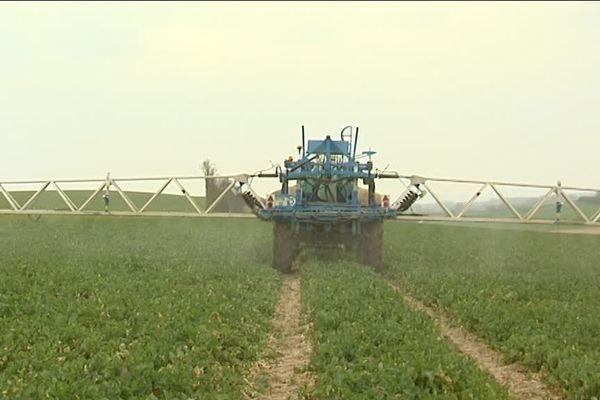 Agriculture et pesticides