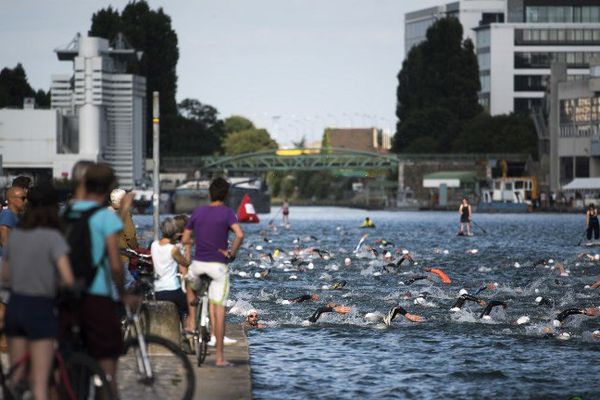 L'Open Swim Stars Race est l'une des courses, avec la Fluctuat et le Triathlon de Paris, qui ont pu avoir lieu dans les eaux de Paris cette année. 