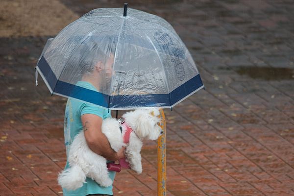 Des orages sont attendus dans le Languedoc-Roussillon ce dimanche 23 avril 2023.