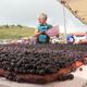 Une tarte géante lors de la fête de la myrtille au Col du Béal, dans le petit village de Saint-Pierre-la-Bourlhonne (Puy-de-Dôme), le 15 août 2024.