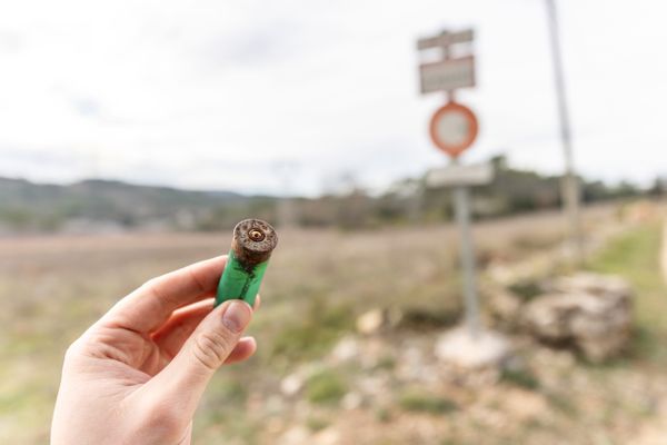 L'enquête ouverte après le tir d'un chasseur qui s'était retrouvé face à un loup à Lorgues en janvier dernier est close.