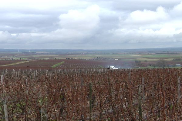 Le vignoble de Pouilly-Fumé se verrait doté de 8 éoliennes par le projet "Vents de Loire"