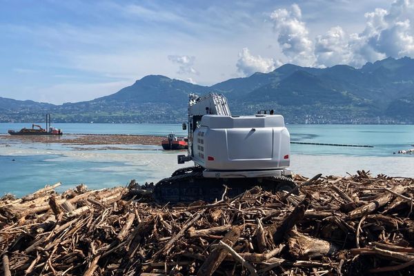 10 000m3 de bois ont été charriés par le Rhône lors de la crue torentielle du week-end dernier - 26 juin 2024