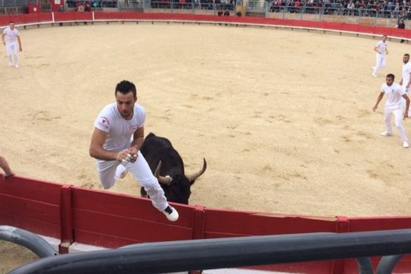 La course camarguaise de Vendargues qui a eu lieu ce dimanche a lancé les festivités taurines dans la région - 2 avril 2017