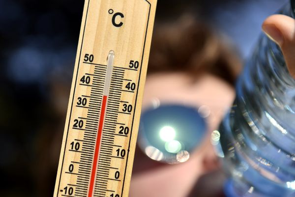 Ce mercredi 24 juillet est annoncé comme le jour le plus chaud. Les températures pourraient frôler les 40°. 