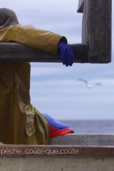 A bord du Misana, un côtier de 11 mètres polyvalent qui a été équipé pour diversifier le type de pêcherie. Une façon de s'en sortir face à la crise de la pêche?