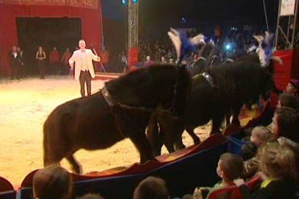 Le cirque du Nouvel an à Douai. 