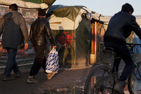 Suite à l'évacuation programmée de la zone sud de la "jungle", le gouvernement français annonce 500 nouvelles places offertes aux migrants dans des centres d'accueil et d'orientation partout en France