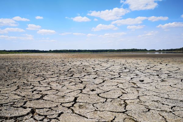 L'étang des Landes à sec (juillet 2019).