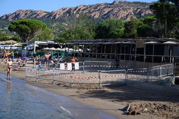 Une ponte de tortue marine a eu lieu sur la plage de la Baumette à Agay dans le Var dans la nuit de samedi à dimanche. Un périmètre de sécurité et une surveillance ont été mis en place.