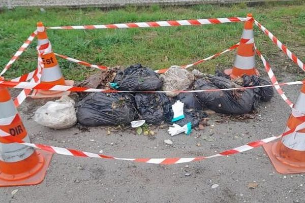 Une quinzaine de sacs poubelle contenant des volatiles morts ont été retrouvés en pleine nature, à Rorhwiller, Bas-Rhin.