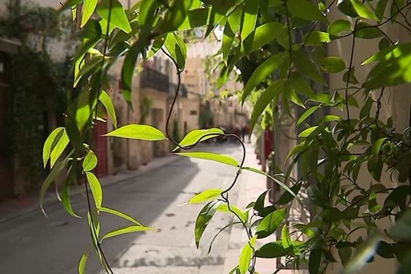 La rue Roucher au centre de Montpellier, devenue la vitrine du fleurissement de la ville - avril 2019