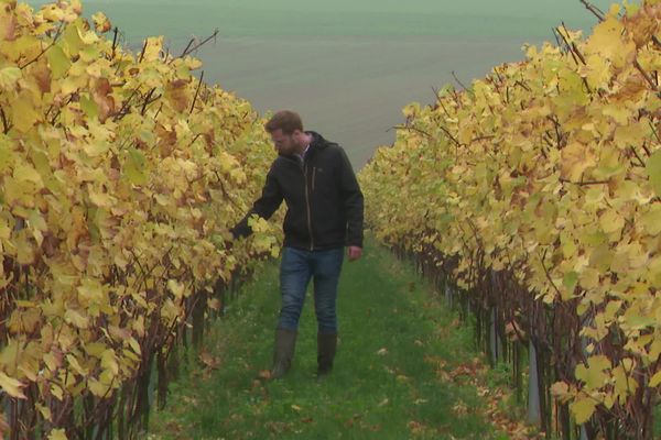 Antoine a planté sa première parcelle en mai 2021.