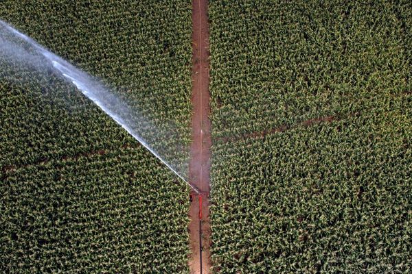 L'irrigation d'un champ dans le sud-ouest de la France 