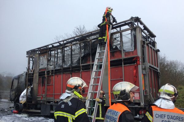 Un camion transportant des bovins détruit par les flammes