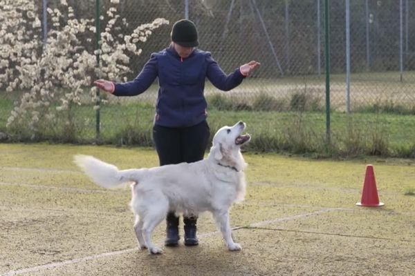 Céline Cler, coach de l'équipe de France, répète des mouvements avec un golden retriever